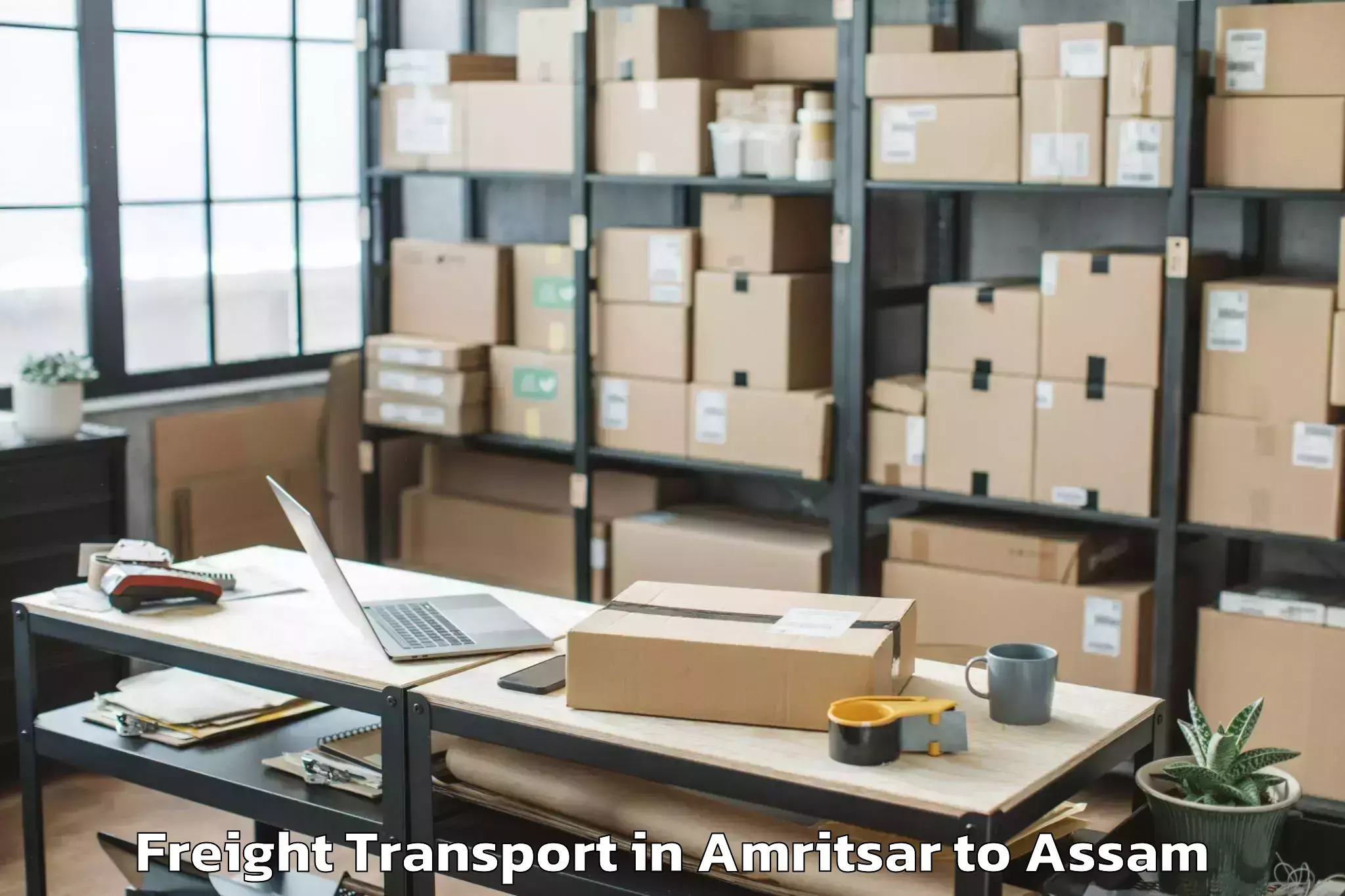 Efficient Amritsar to Dibrugarh University Dibrugarh Freight Transport